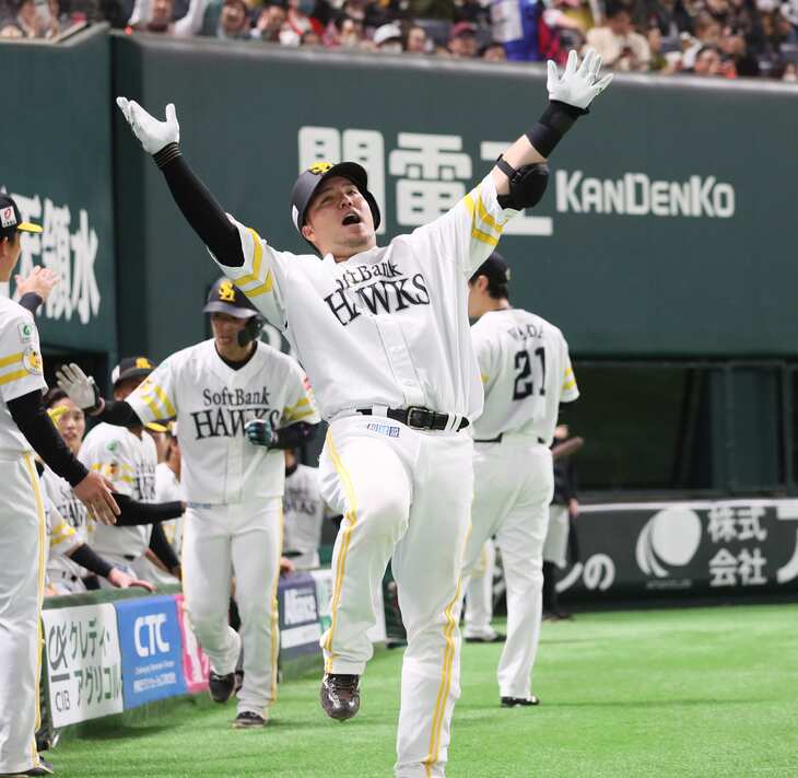 山川穂高,どすこい